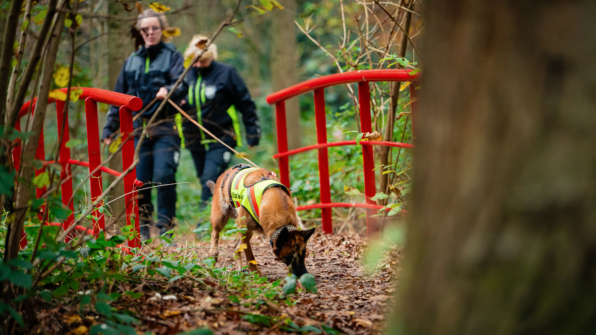 bram-berkien-K9-2024-11-09-16-00-15-4